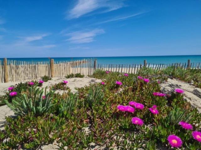 Confortable Studio Cabine - Acces Plage- Vue Mer 4Tvp38 Ле Баркарес Экстерьер фото